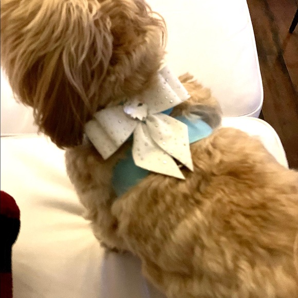 ❤️ - Picture 4 of 14